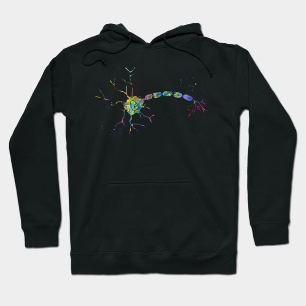 Anatomy of a typical human neuron Hoodie by erzebeth